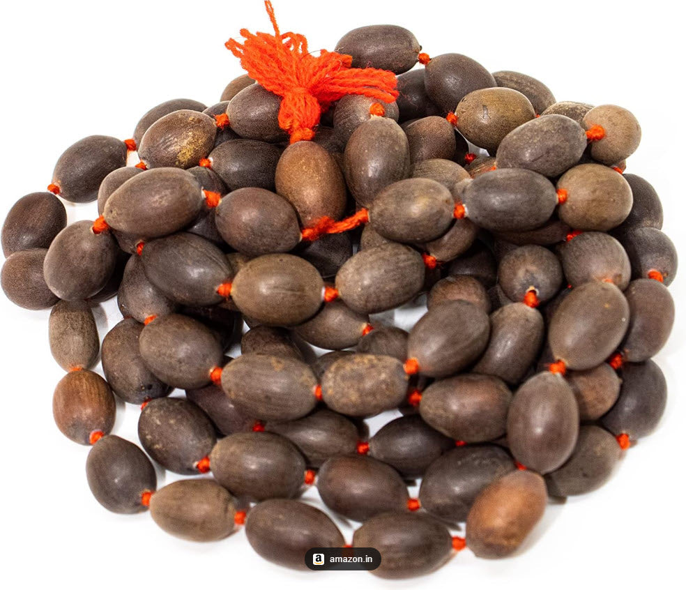 Lotus Seed Mala | 108 Beads