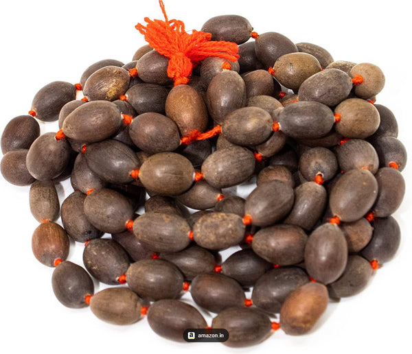 Lotus Seed Mala | 108 Beads