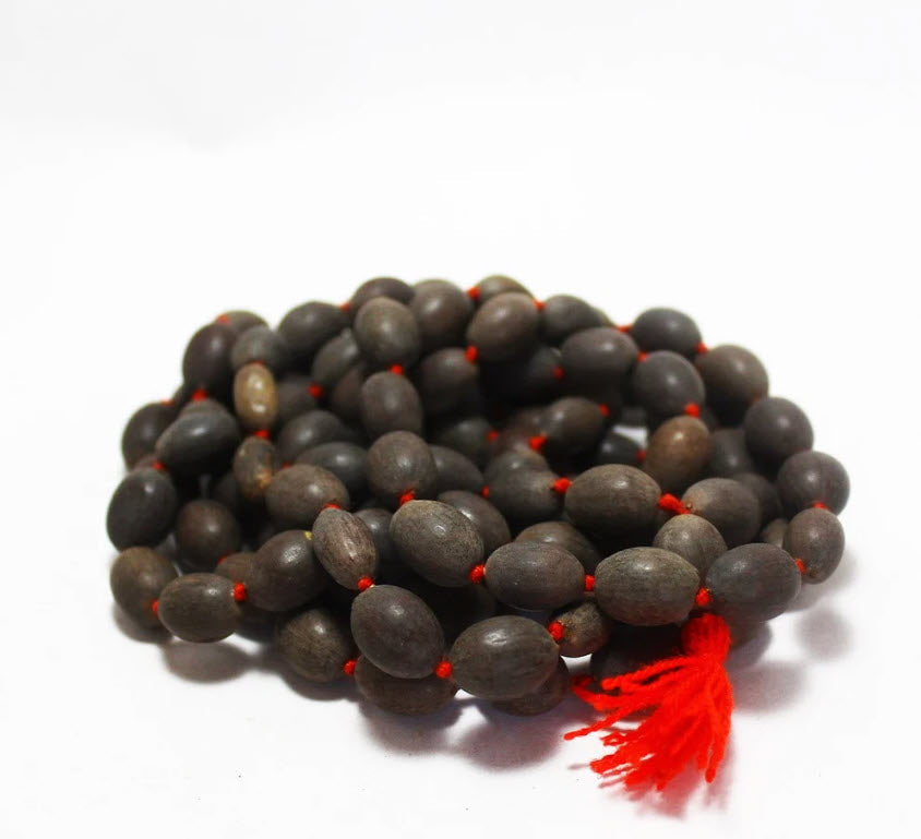 Lotus Seed Mala | 108 Beads