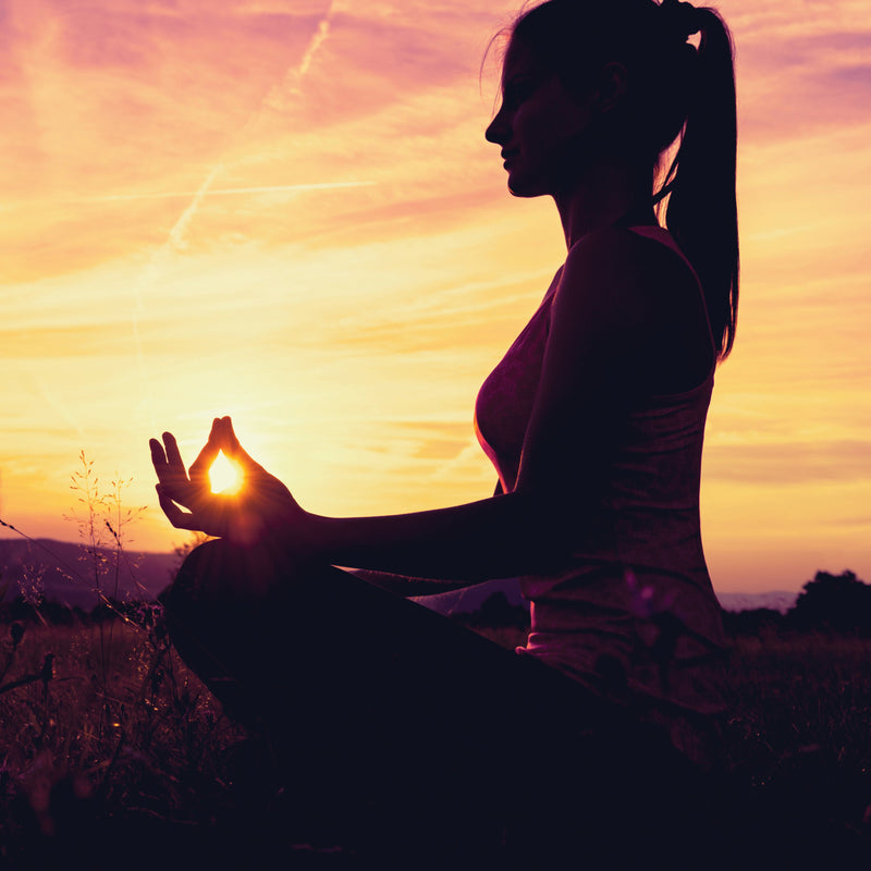 Atma Kriya Yoga Course