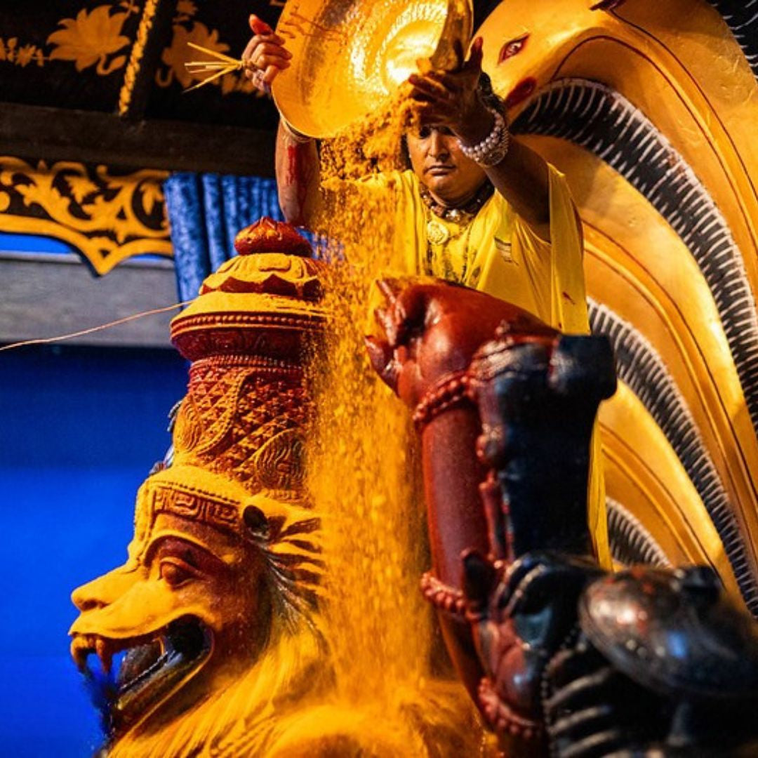 Narasimha Chaturdashi with Paramahamsa Vishwananda