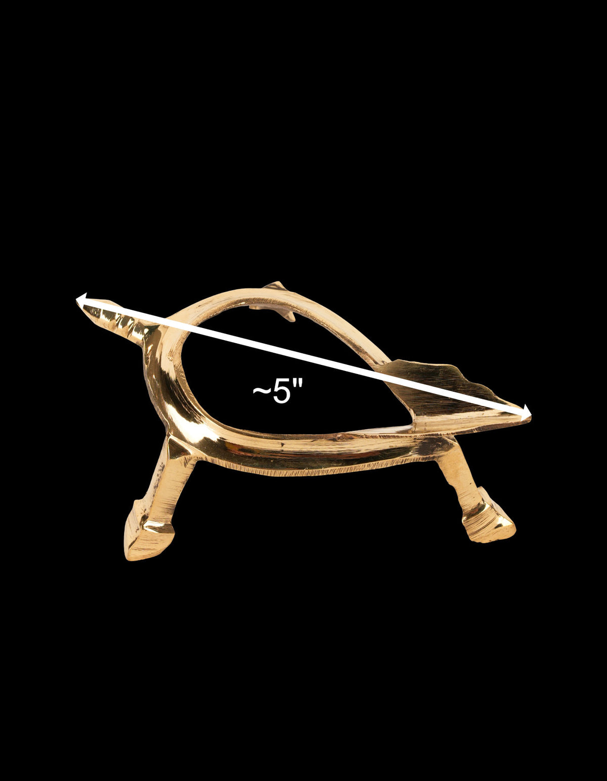 Conch Stand | 5" Length
