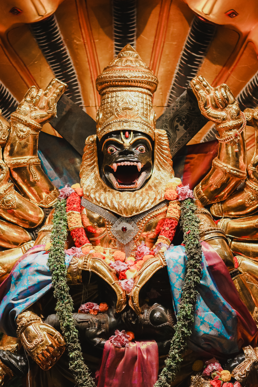 Paranitya Narasimha | Double Frame WD 4x6" 1W