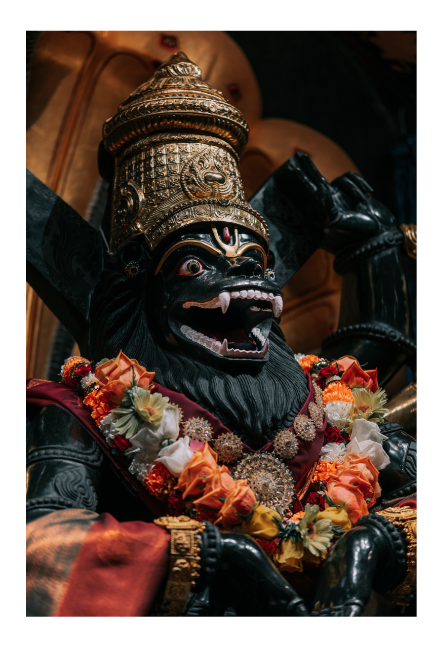 Paranitya Narasimha | Double Frame WD 4x6" 2W