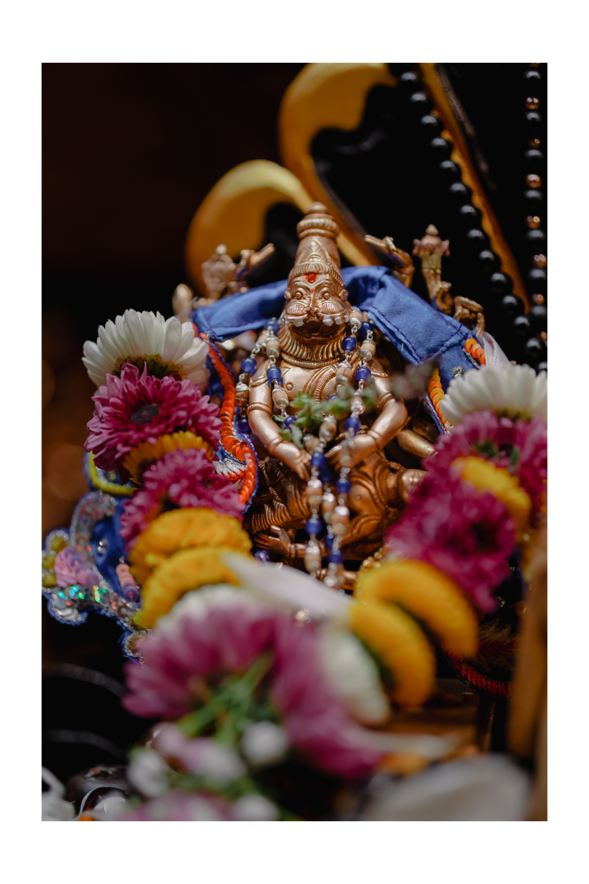 Paranitya Narasimha | Double Frame WD 4x6" 3W