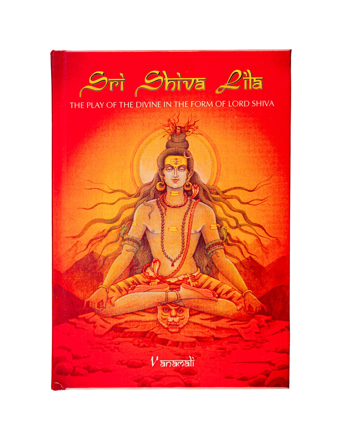 Sri Shiva Lila